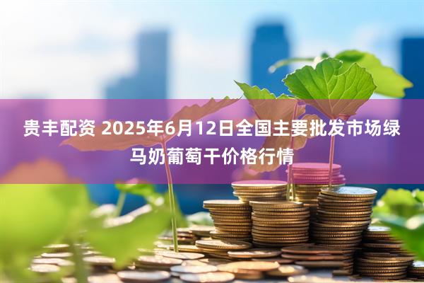 贵丰配资 2025年6月12日全国主要批发市场绿马奶葡萄干价格行情