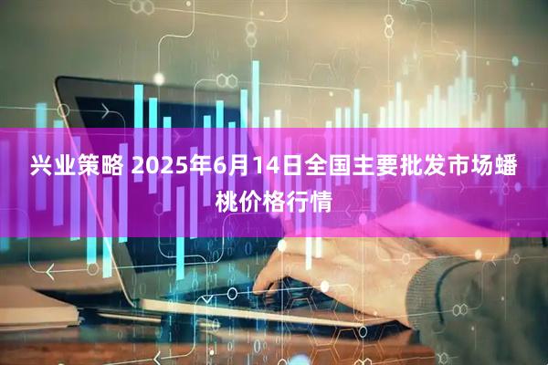 兴业策略 2025年6月14日全国主要批发市场蟠桃价格行情