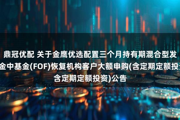 鼎冠优配 关于金鹰优选配置三个月持有期混合型发起式基金中基金(FOF)恢复机构客户大额申购(含定期定额投资)公告