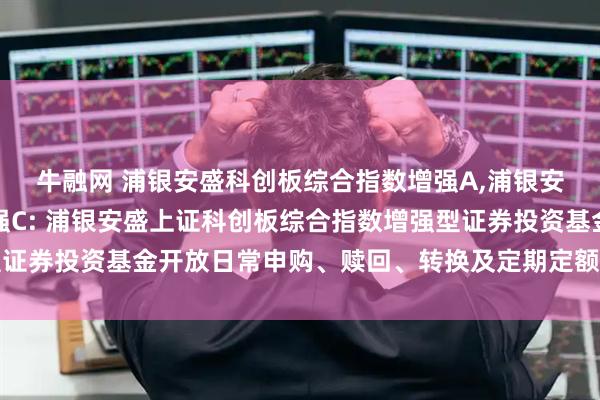 牛融网 浦银安盛科创板综合指数增强A,浦银安盛科创板综合指数增强C: 浦银安盛上证科创板综合指数增强型证券投资基金开放日常申购、赎回、转换及定期定额投资业务的公告