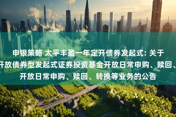 申银策略 太平丰盈一年定开债券发起式: 关于太平丰盈一年定期开放债券型发起式证券投资基金开放日常申购、赎回、转换等业务的公告